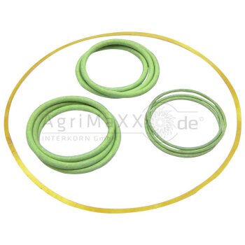 O-Ringsatz - 20040342013