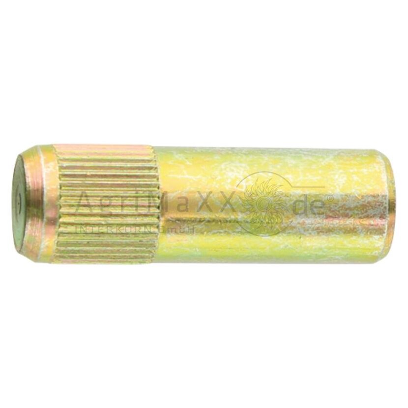 Scharnierstift - 816810030090