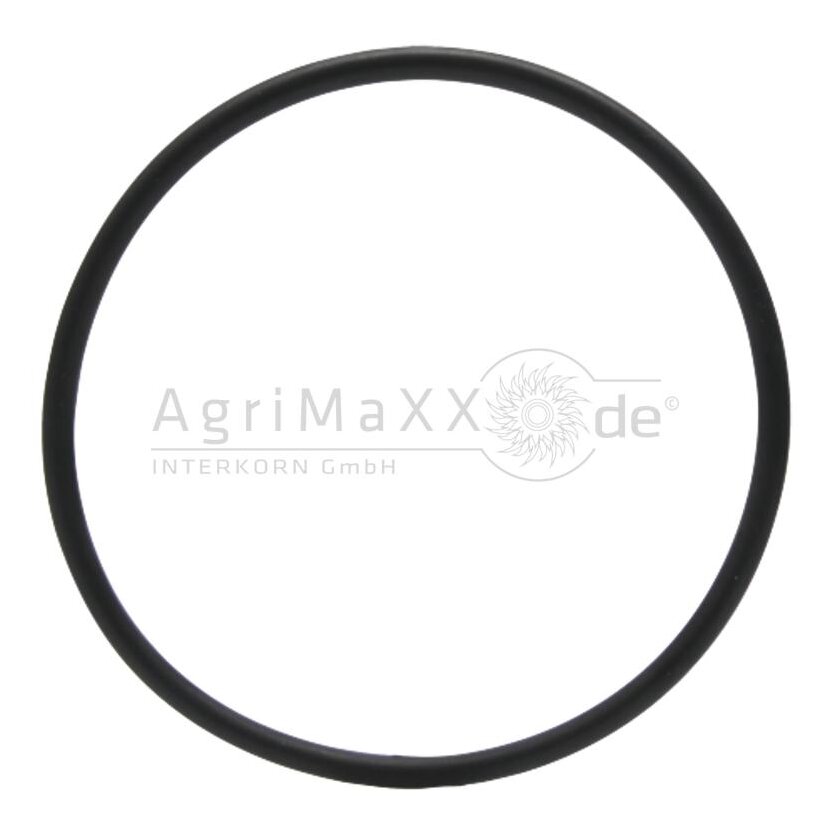 O-Ring - 302910A1 I302910A1,