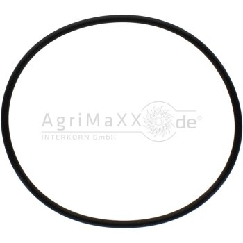 O-Ring - F281202210030