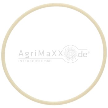Dichtring - 01171243