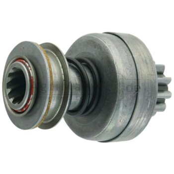 BOSCH Ritzel - 2502006209459
