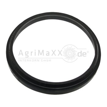 Abstreifer - X540413601000