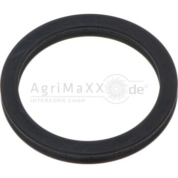 Dichtring - 04122739