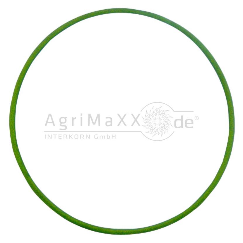 Dichtring - 04353152