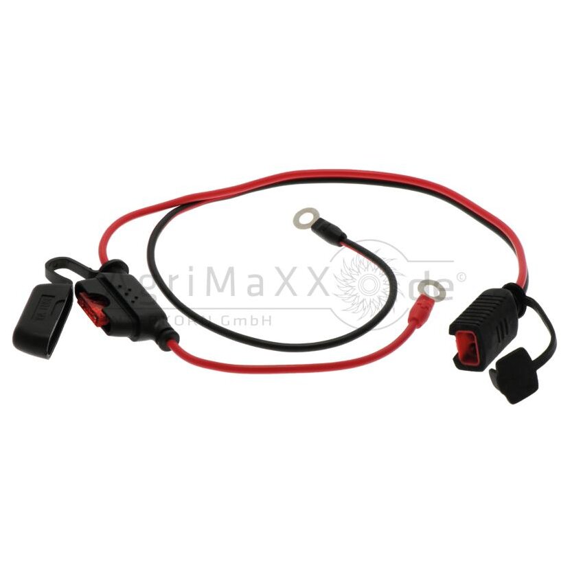 Adapterkabel mit Ringösen M6