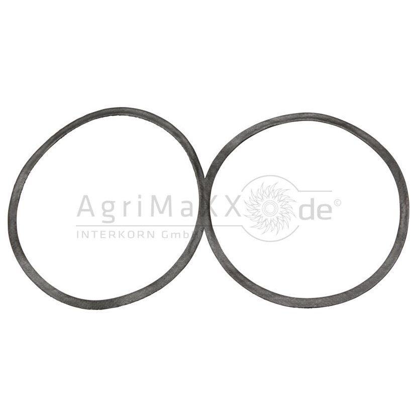 Dichtring - 825864M1