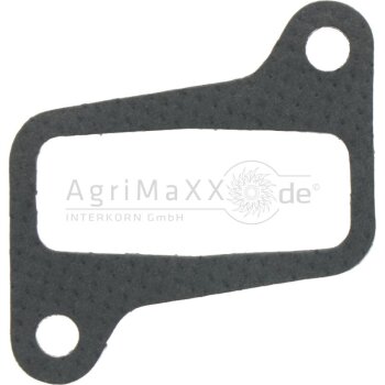 Ansaugkr&uuml;mmerdichtung - 0.011.1304.010