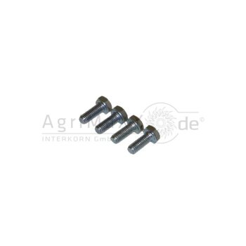 Rockinger Schraubensatz - ROE70518