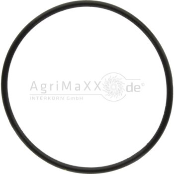 O-Ring - R112857
