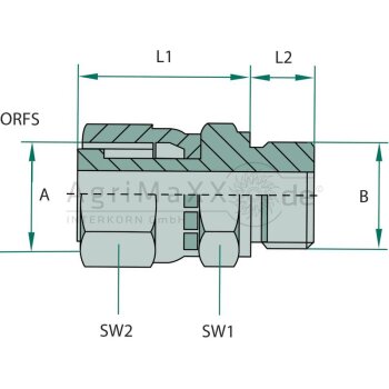 GA 1 FS-ORFS x 1/2 M-BSP