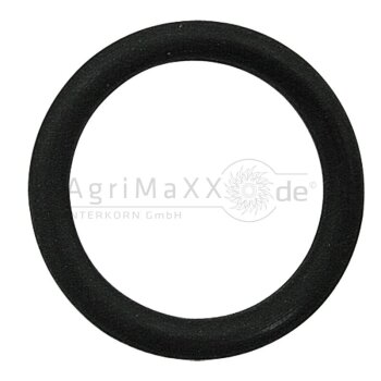 O-Ring 2? DN50 - 103573