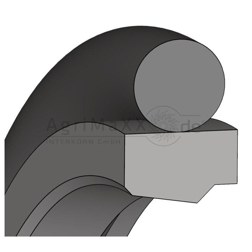 Einfachwirkende Stangendichtung aus PTFE