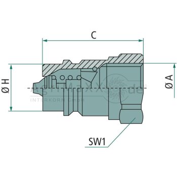 Faster ANV Stecker IG 1"" BSP - ANV 1 GAS M -...