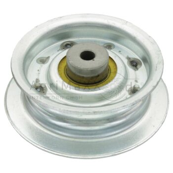 Spannrolle - AM146880