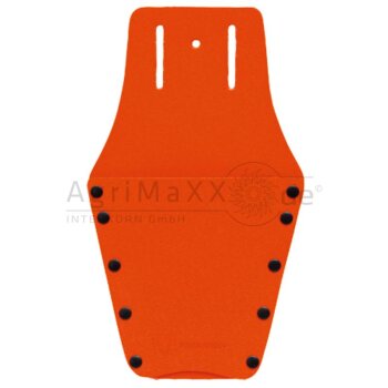 Holster