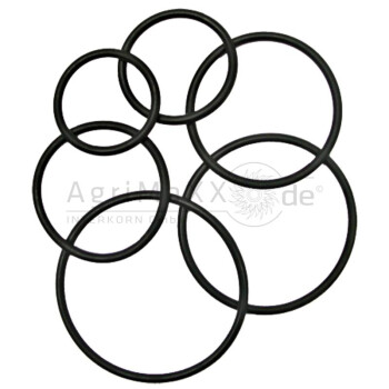 O-Ring 90 Shore -