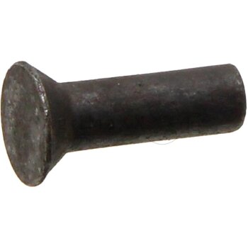 Senknieten - Länge: 22 mm - Stahl