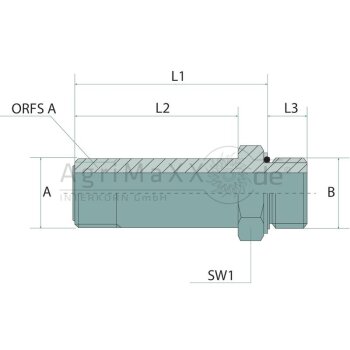 GAL 13/16 M-ORFS x 1/8 M-BSP-ORK