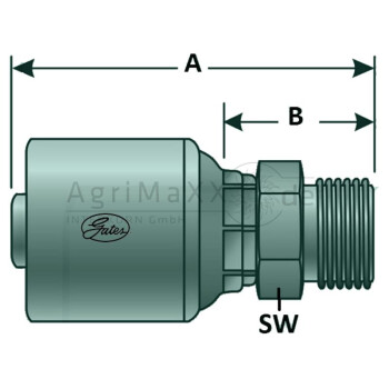 Gates PNE 10 AGR 1/4"" - 6G-4MBSPP