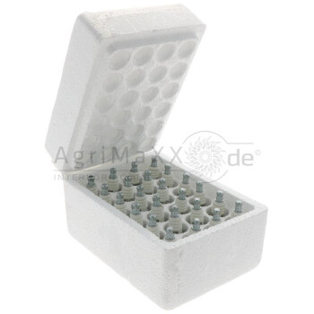 Champion Zündkerzen - CCH861S -