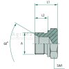EV 1.1/2 M-BSP