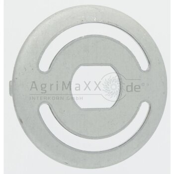 AS-Motor Sicherungsscheibe - G06323016