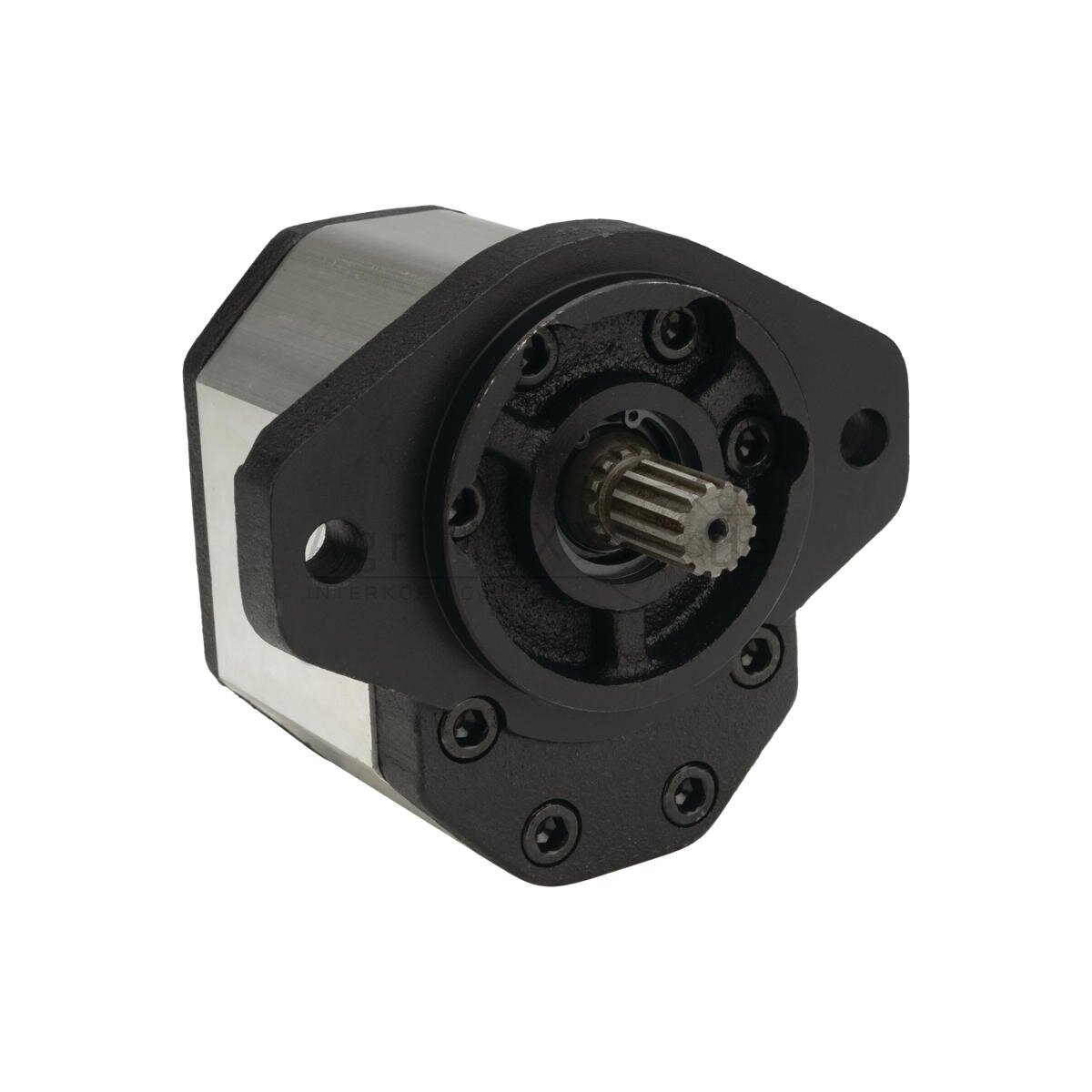Produktbild von Hydraulikpumpe Rechts 22cc Für Atlas AL320, AL330, AL402, AL420 – BEROKIT C725031
