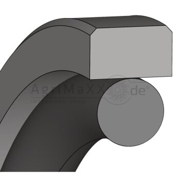 Doppeltwirkende Kolbendichtung aus PTFE
