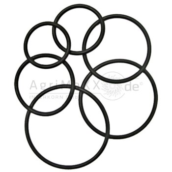 O-Ring -