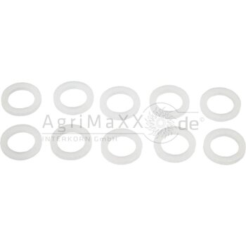 Suevia Flachdichtung - 1020658-10 -