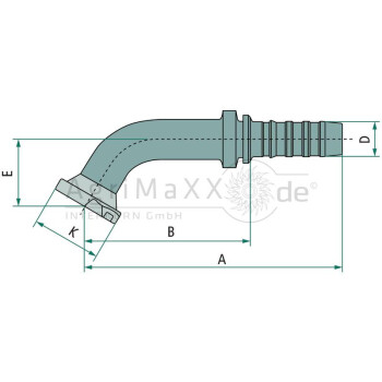 Gates PNB 25 SFS 1"" 60°M - 16GS-16FLH60M