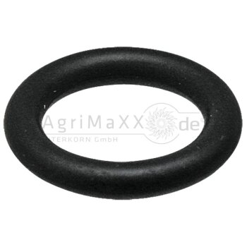 Dichtringe KF OR DN10-BG2