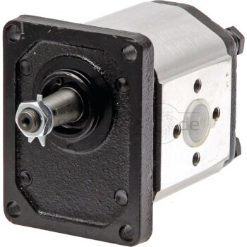 Casappa Motor PLM20.20R0-82E2-LEA/EB-N - 02006507