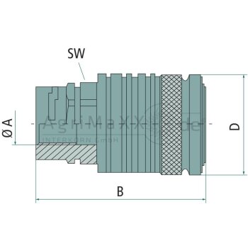 Faster CPV06 Muffe IG 1/4"" BSP - 14 GAS F