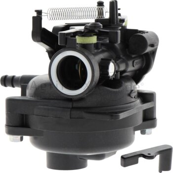Briggs & Stratton Vergaser - 597269
