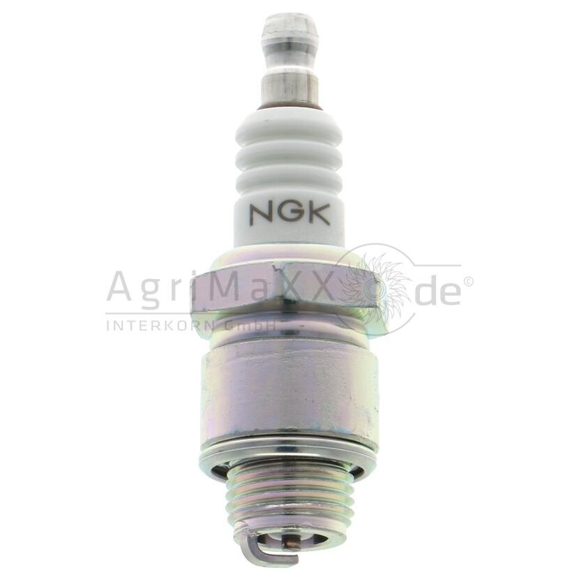 NGK Zündkerzen - 3402 -