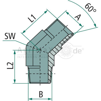 WA 1/8 M-BSP x 1/8 M-NPT 45°