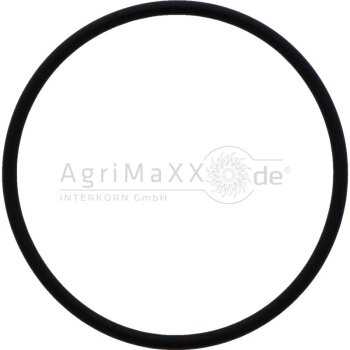 O-Ring -
