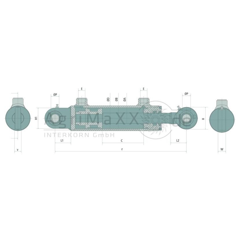 Contarini Zylinder DW-GA-92/80x50x300 - HMB5500300