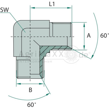 WA 1/8 M-BSP x