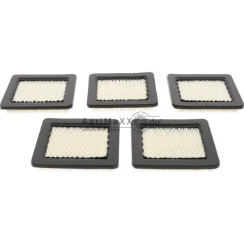 Briggs & Stratton Luftfilter - 4101 -