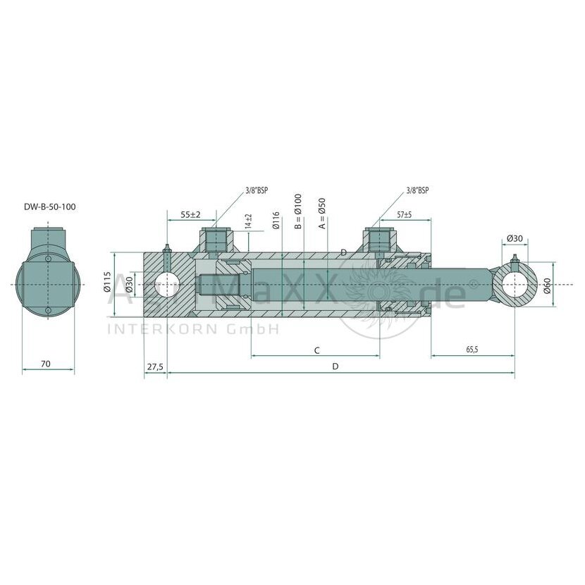 Zylinder-DW-B-50-100-300-540 - Länge: 51 mm