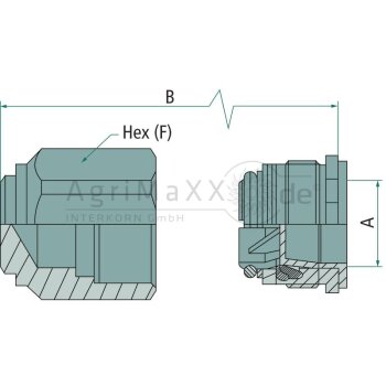 Cejn WEO-Verschlussbuchse 1/4"" (10 mm) -...