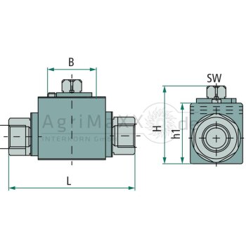PISTER Kugelhahn BKR-2 G 1""